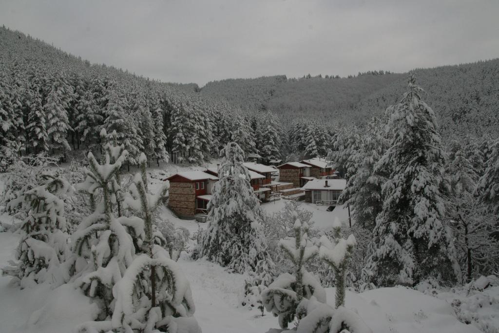 Guesthouses Prav Kamen Dolno Dryanovo Exterior foto