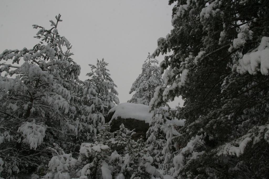 Guesthouses Prav Kamen Dolno Dryanovo Exterior foto