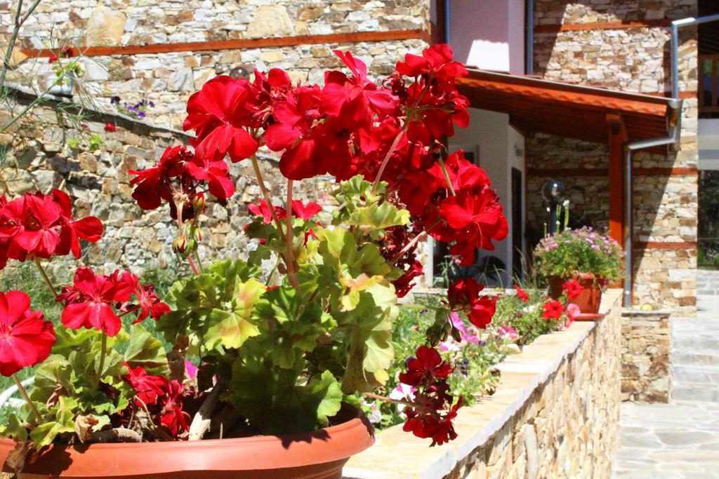 Guesthouses Prav Kamen Dolno Dryanovo Exterior foto