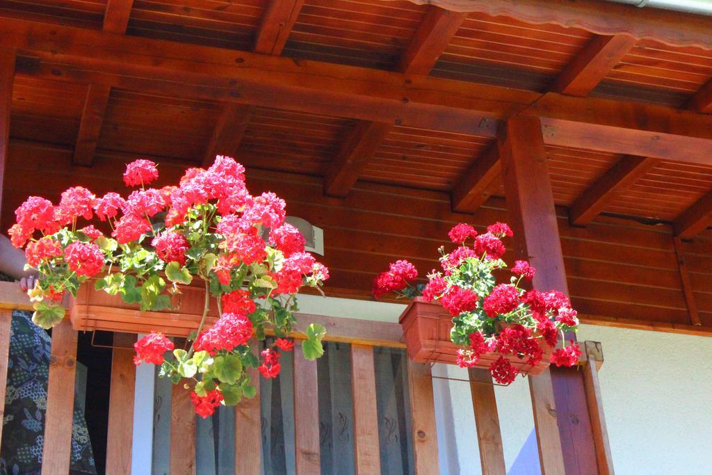 Guesthouses Prav Kamen Dolno Dryanovo Exterior foto
